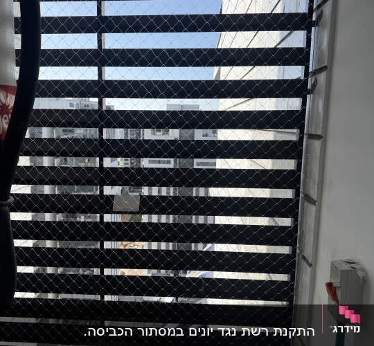רשת למניעת כניסת יונים על חלון בניין